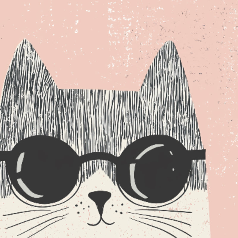 Cool-Cat-wearing-sunglasses-poster-hey